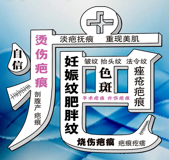公司介绍